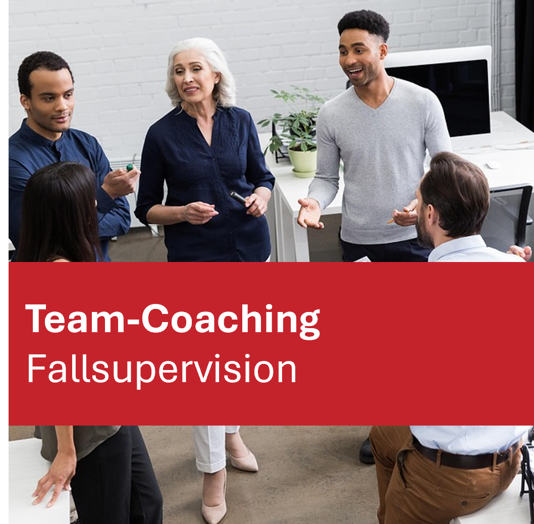 Team-Coaching Fallsupervision